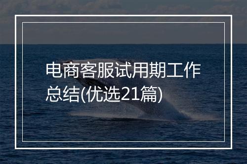 电商客服试用期工作总结(优选21篇)