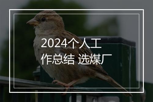 2024个人工作总结 选煤厂