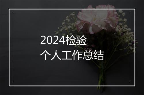 2024检验个人工作总结