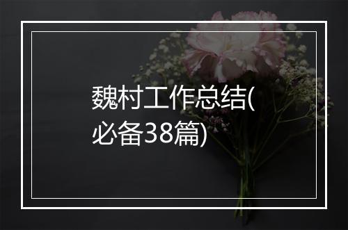 魏村工作总结(必备38篇)