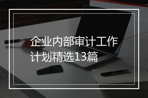 企业内部审计工作计划精选13篇