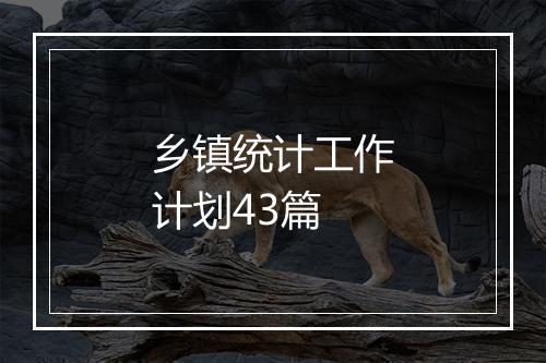 乡镇统计工作计划43篇