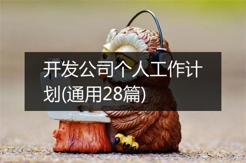 开发公司个人工作计划(通用28篇)