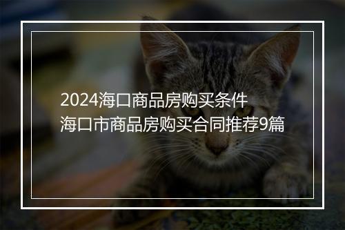 2024海口商品房购买条件 海口市商品房购买合同推荐9篇