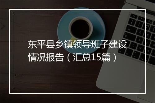 东平县乡镇领导班子建设情况报告（汇总15篇）