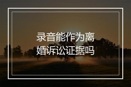 录音能作为离婚诉讼证据吗
