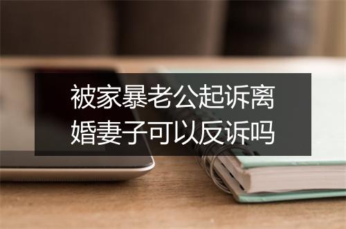 被家暴老公起诉离婚妻子可以反诉吗