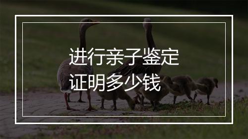 进行亲子鉴定证明多少钱