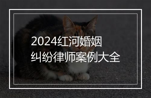 2024红河婚姻纠纷律师案例大全