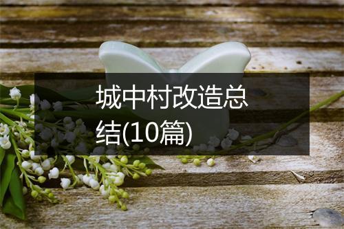 城中村改造总结(10篇)