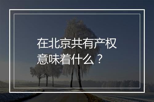 在北京共有产权意味着什么？