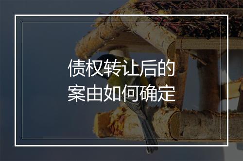 债权转让后的案由如何确定