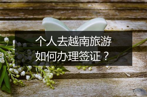个人去越南旅游如何办理签证？