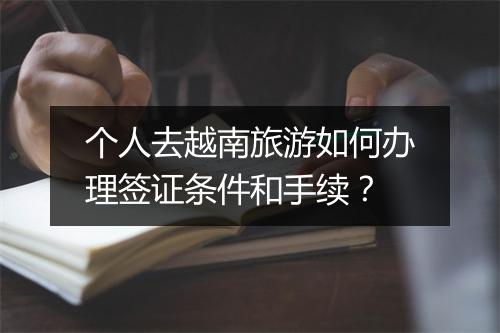 个人去越南旅游如何办理签证条件和手续？