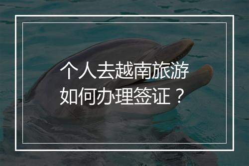 个人去越南旅游如何办理签证？