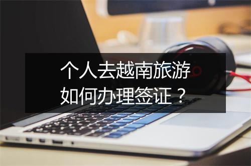 个人去越南旅游如何办理签证？