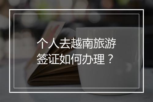 个人去越南旅游签证如何办理？