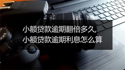 小额贷款逾期翻倍多久,小额贷款逾期利息怎么算