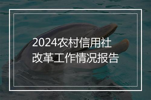 2024农村信用社改革工作情况报告