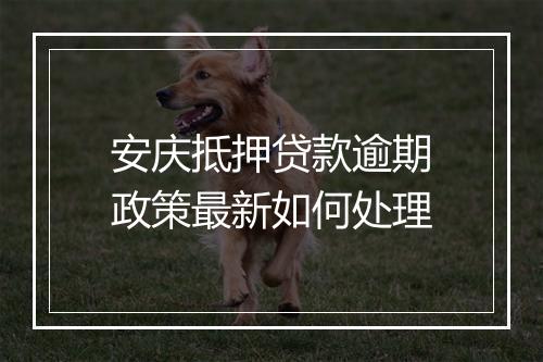 安庆抵押贷款逾期政策最新如何处理