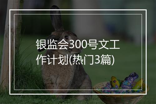 银监会300号文工作计划(热门3篇)