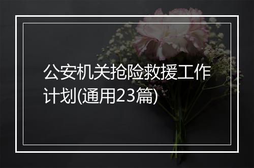 公安机关抢险救援工作计划(通用23篇)