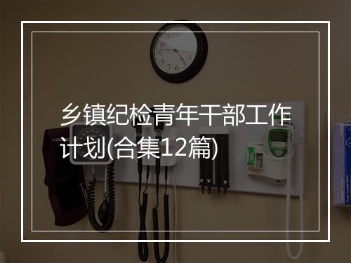 乡镇纪检青年干部工作计划(合集12篇)