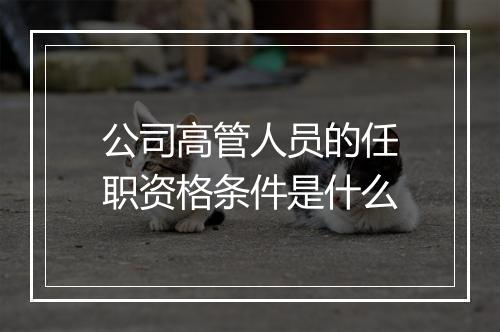 公司高管人员的任职资格条件是什么