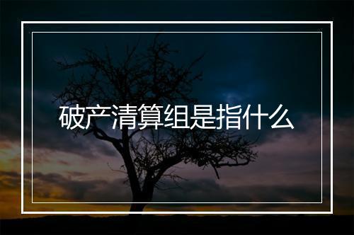 破产清算组是指什么