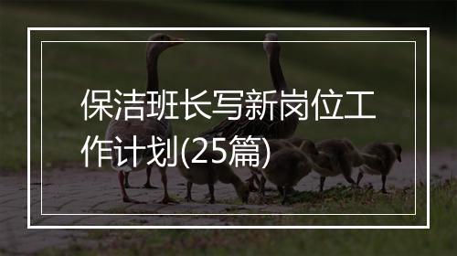 保洁班长写新岗位工作计划(25篇)