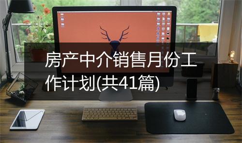 房产中介销售月份工作计划(共41篇)