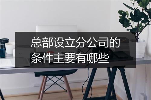 总部设立分公司的条件主要有哪些