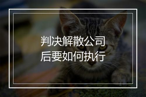 判决解散公司后要如何执行