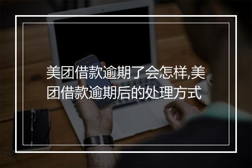 美团借款逾期了会怎样,美团借款逾期后的处理方式