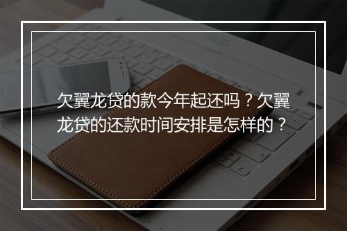 欠翼龙贷的款今年起还吗？欠翼龙贷的还款时间安排是怎样的？