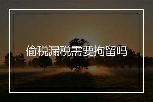 偷税漏税需要拘留吗