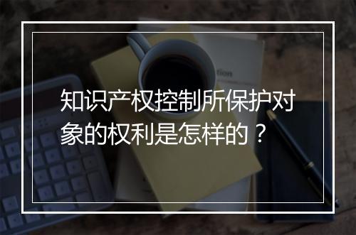 知识产权控制所保护对象的权利是怎样的？