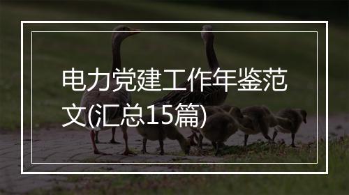 电力党建工作年鉴范文(汇总15篇)
