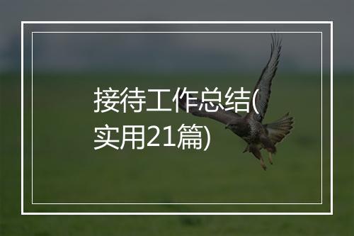 接待工作总结(实用21篇)