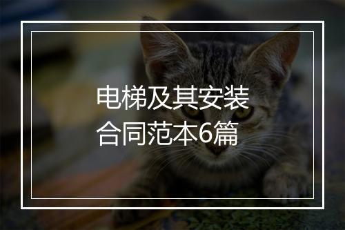 电梯及其安装合同范本6篇