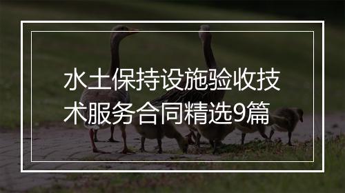水土保持设施验收技术服务合同精选9篇