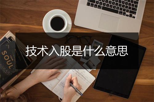 技术入股是什么意思