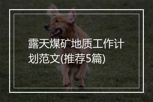 露天煤矿地质工作计划范文(推荐5篇)