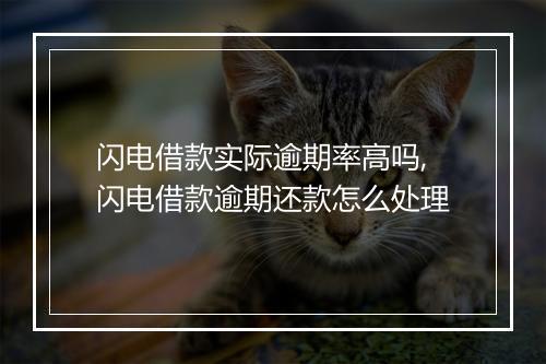 闪电借款实际逾期率高吗,闪电借款逾期还款怎么处理