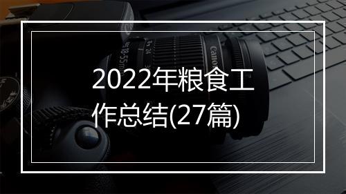 2022年粮食工作总结(27篇)