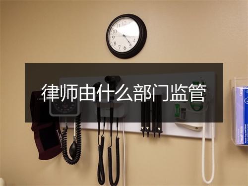 律师由什么部门监管
