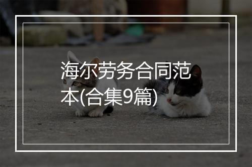海尔劳务合同范本(合集9篇)
