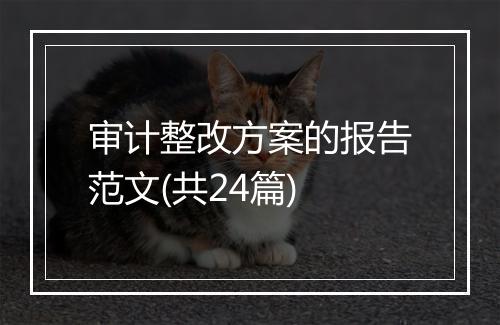 审计整改方案的报告范文(共24篇)
