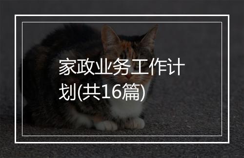 家政业务工作计划(共16篇)