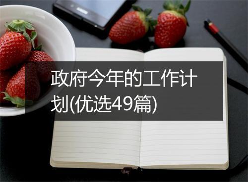政府今年的工作计划(优选49篇)